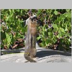 20060820_19BryceCanyon_004 copia.jpg